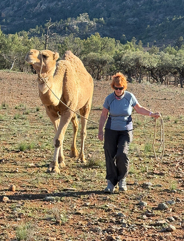 Joy's story: A photo of Joy trekking alongside a camel.